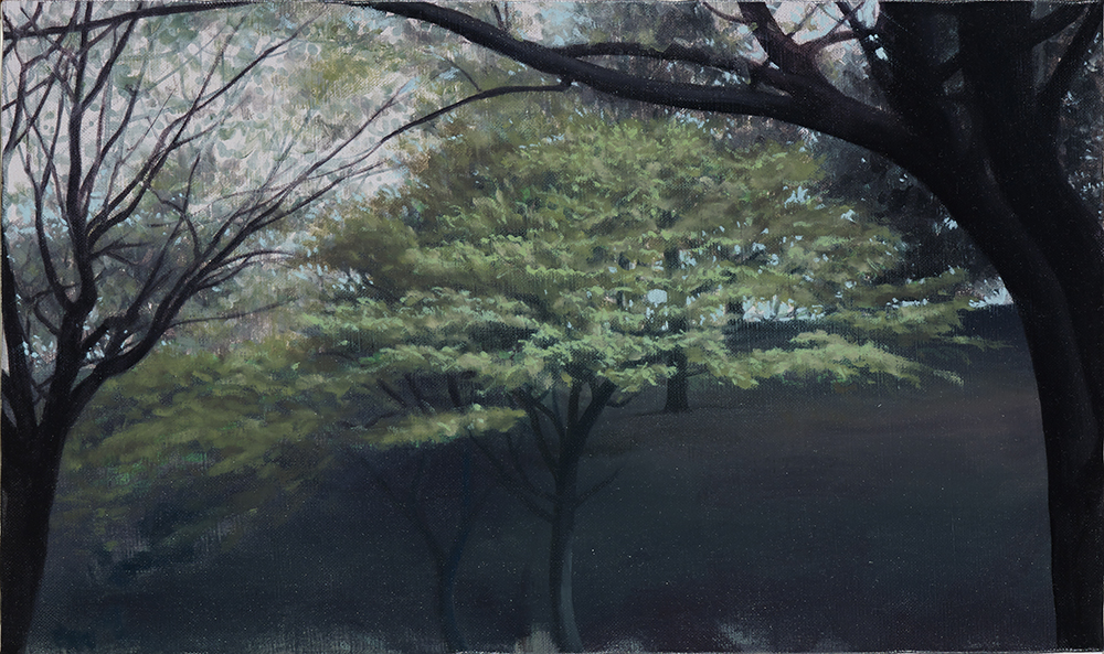 Liao_Zen-Ping_Trees_In_The_Park27.3x45.5cmOil_and_Aqyla_on_Canvas2016_